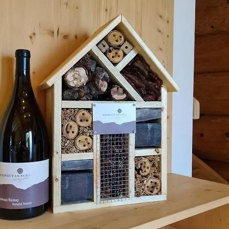 Chalet Resort Soelden * Solden