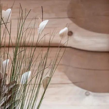 木屋 Chalet Resort Soelden 索尔登