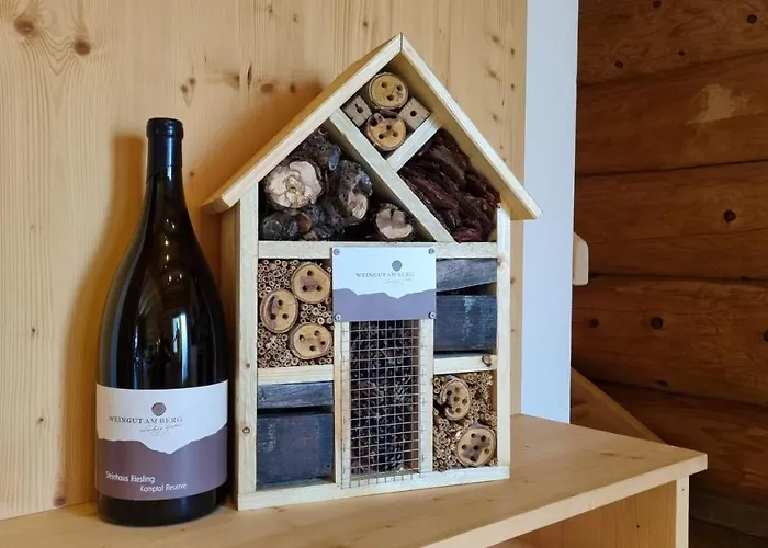 Chalet Resort Sölden * Sölden